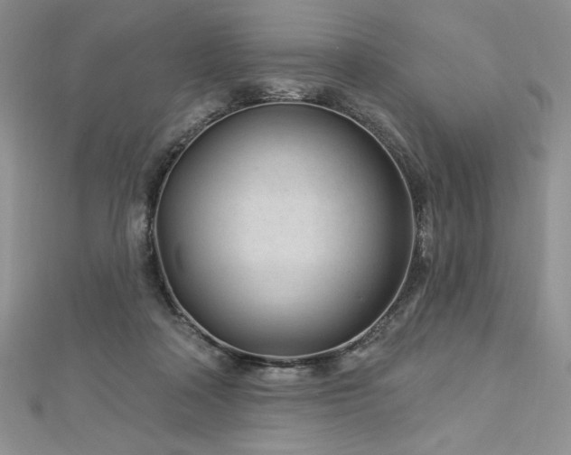 X0000113160314200909041301