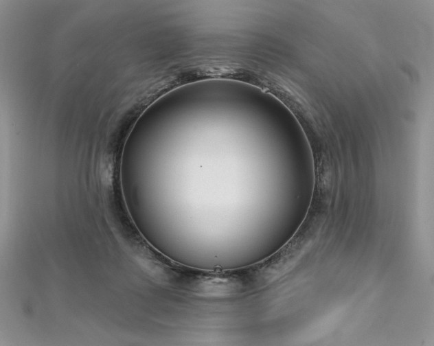 X0000113160315200909041301