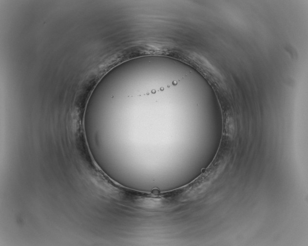 X0000113160318200909041301