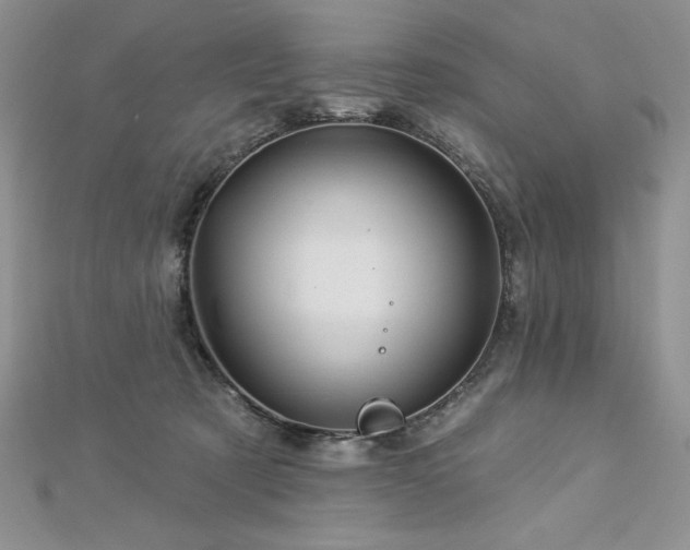 X0000113160321200909041301