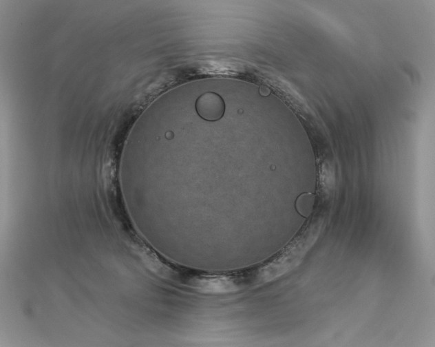 X0000113160322200909041301