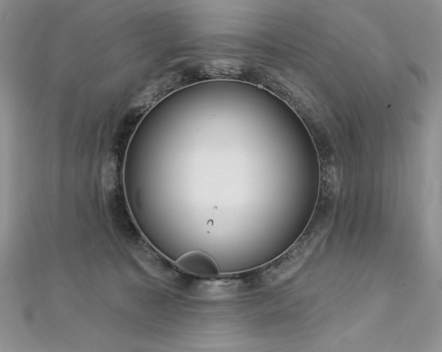 X0000113160323200909041301