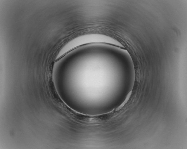 X0000113160324200909041301