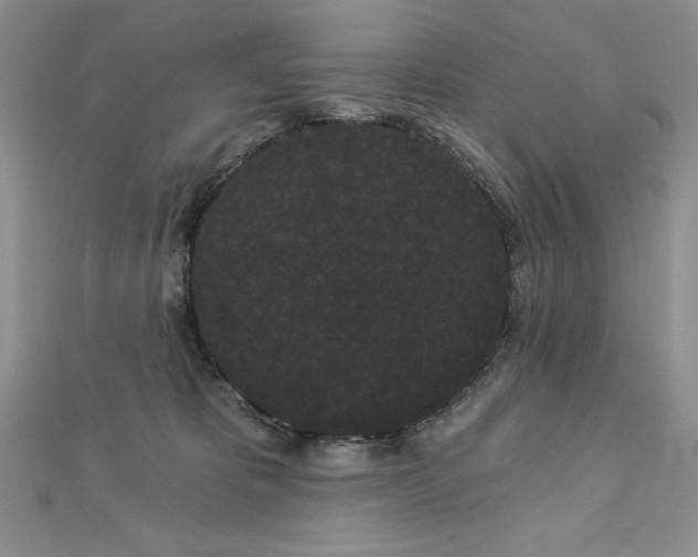 X0000113160325200909041301