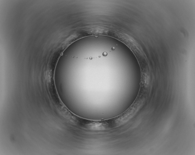 X0000113160326200909041301