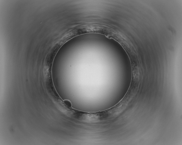 X0000113160327200909041301