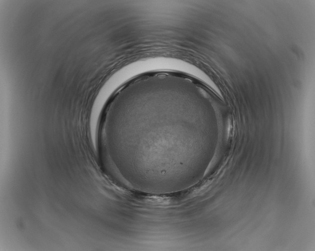 X0000113160328200909041301