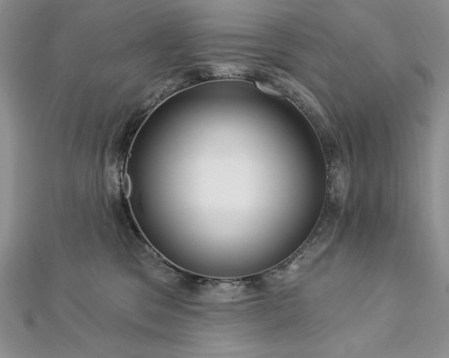 X0000113160329200909041301