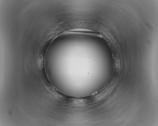 X0000113160332200909041301