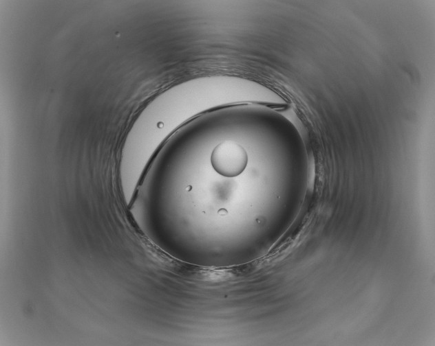 X0000113160333200909041301