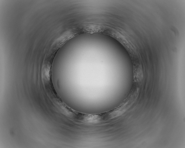 X0000113160334200909041301