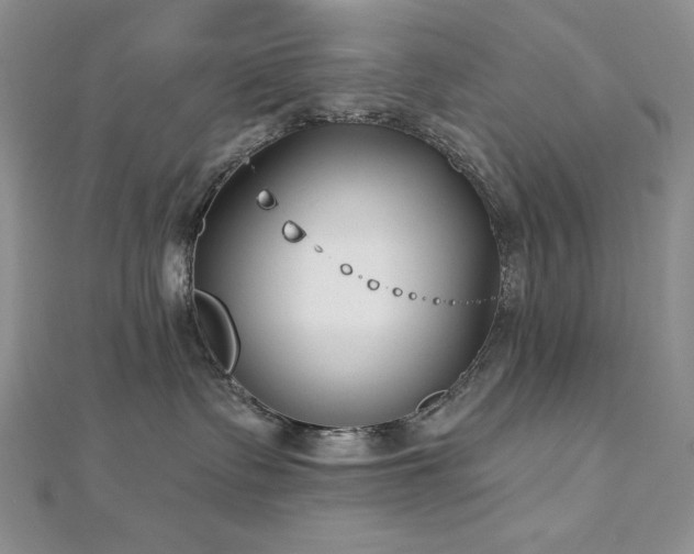X0000113160335200909041300