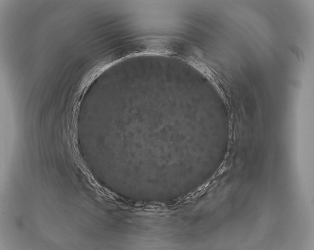X0000113160337200909041300