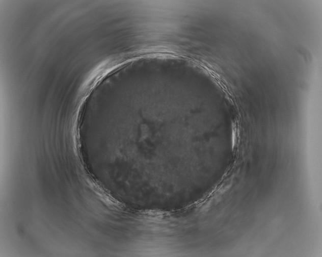 X0000113160339200909041300