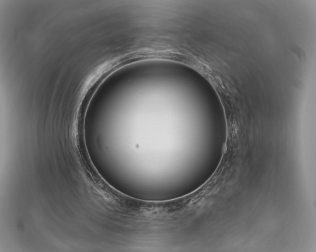 X0000113160340200909041300