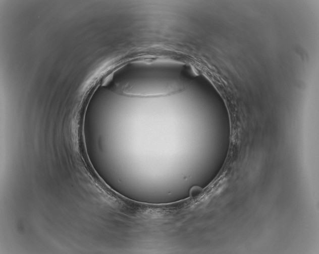 X0000113160341200909041300