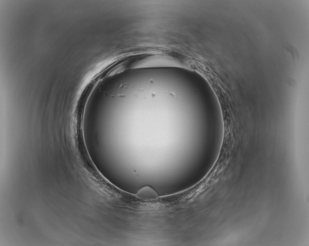 X0000113160342200909041300