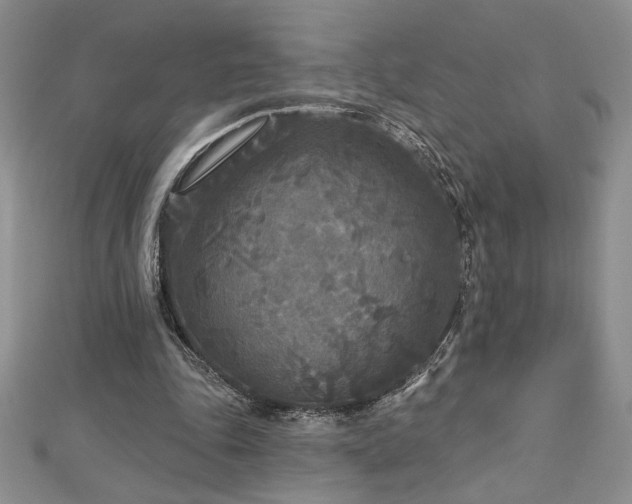 X0000113160343200909041300