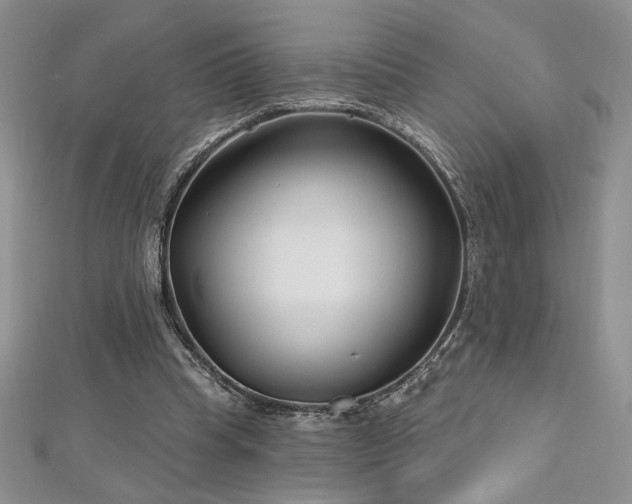 X0000113160345200909041300
