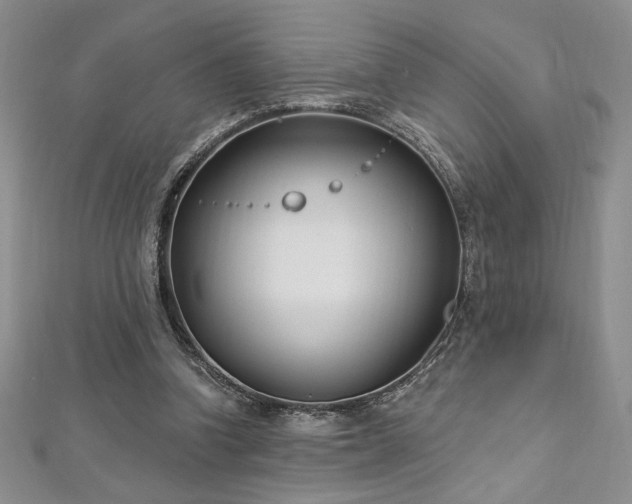 X0000113160346200909041300