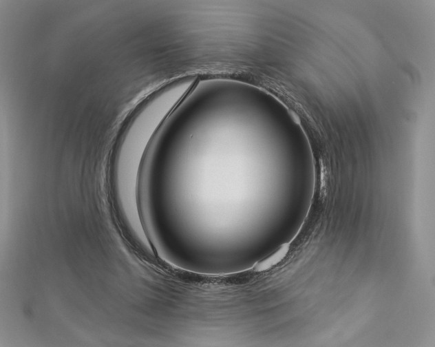 X0000113160348200909041300
