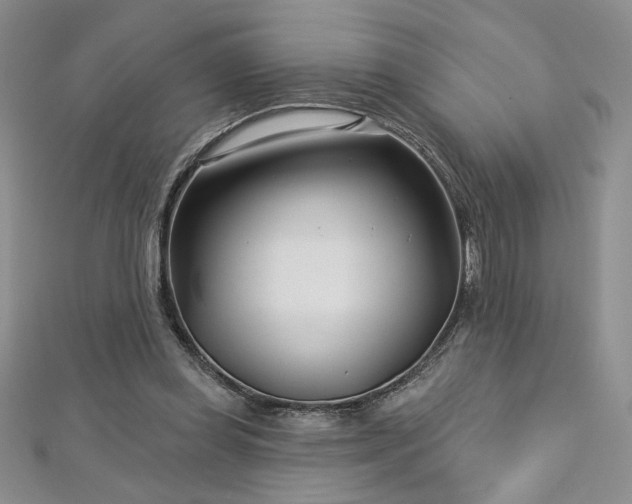 X0000113160349200909041300