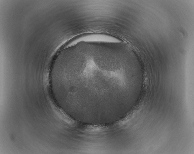 X0000113160351200909041300