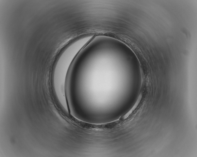 X0000113160352200909041300