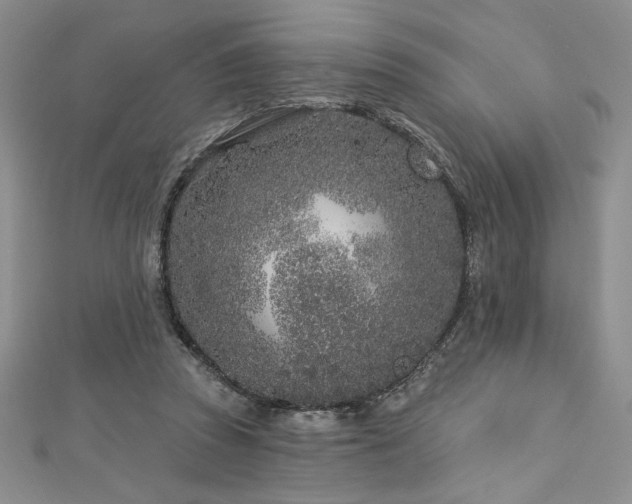 X0000113160353200909041300