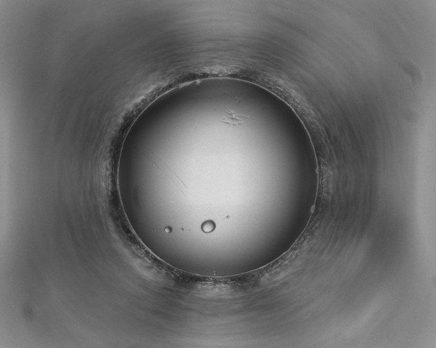 X0000113160354200909041300