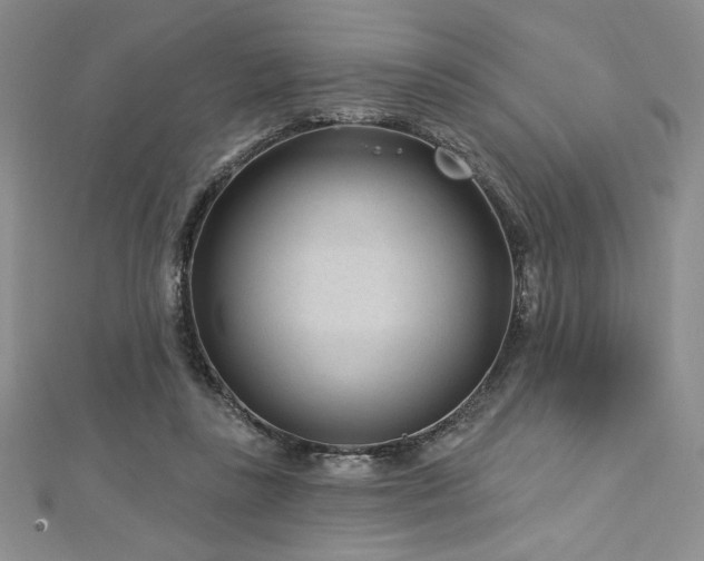 X0000113160355200909041300