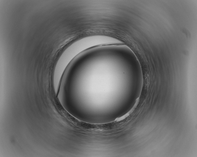 X0000113160356200909041300