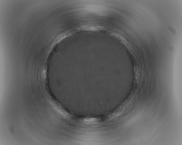 X0000113160357200909041300