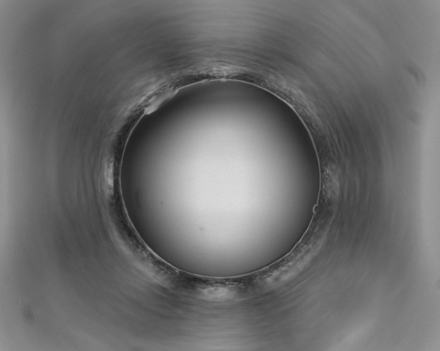 X0000113160358200909041300