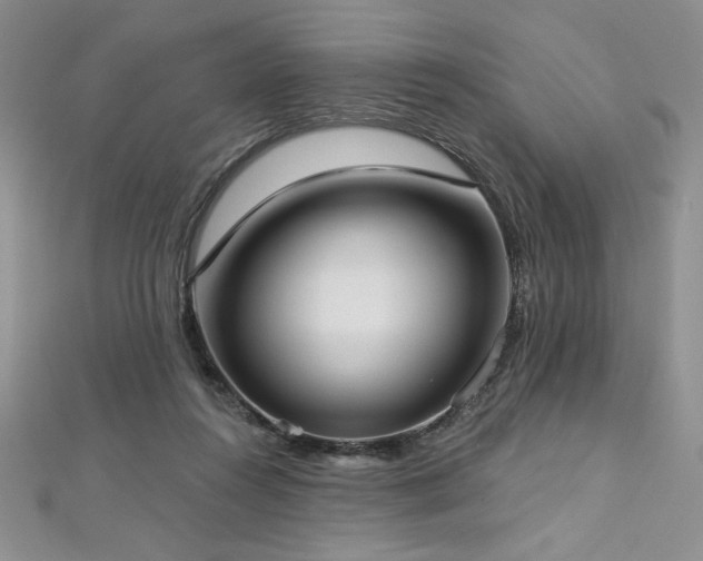 X0000113160360200909041300