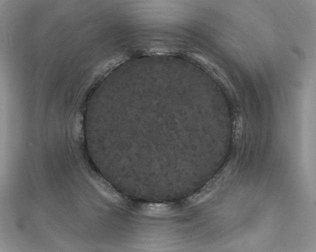 X0000113160361200909041300