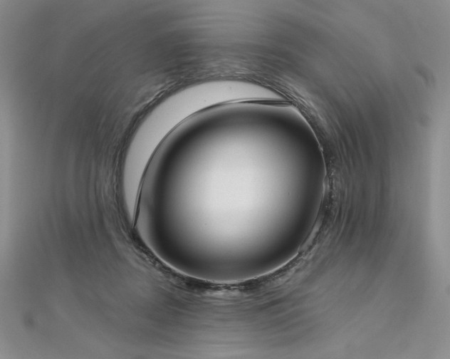 X0000113160362200909041300