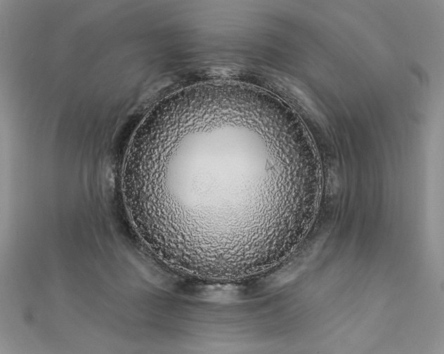 X0000113160363200909041300