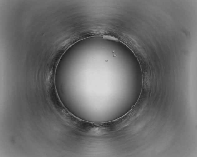 X0000113160364200909041300