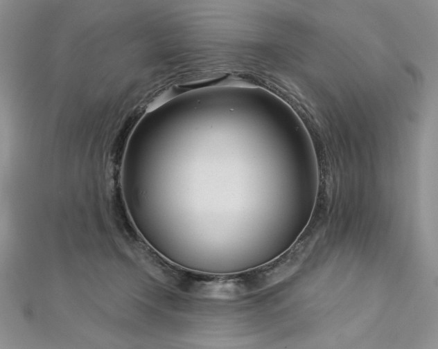 X0000113160366200909041300