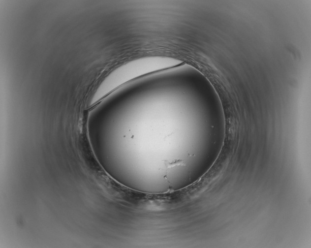 X0000113160368200909041300