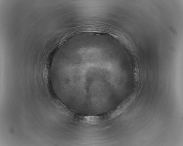 X0000113160371200909041300