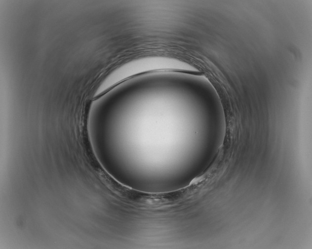 X0000113160372200909041300