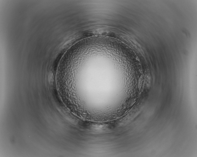 X0000113160375200909041300