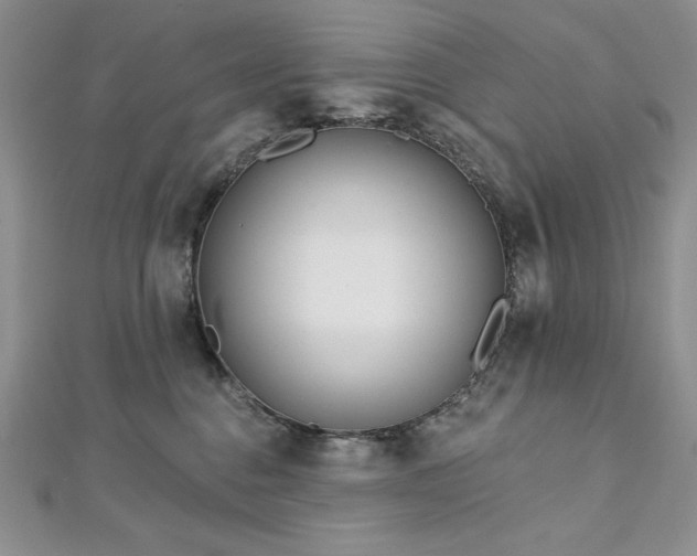 X0000113160376200909041300