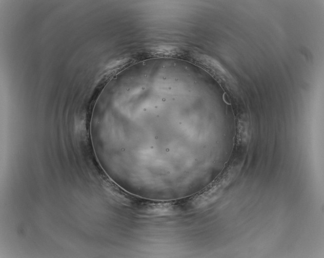 X0000113160377200909041300
