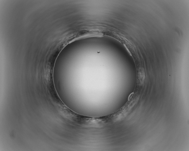 X0000113160379200909041300