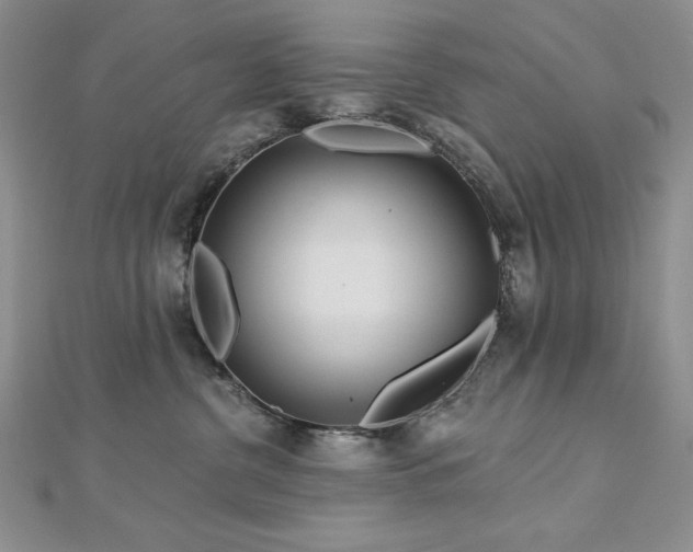 X0000113160380200909041300