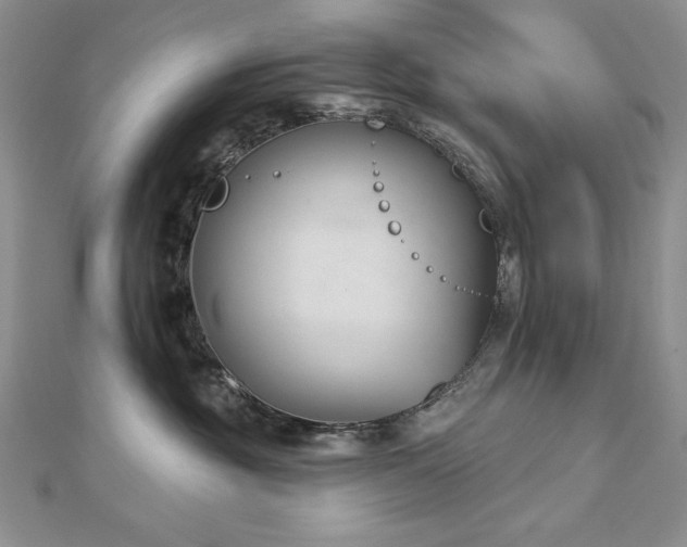 X0000113160381200909041300
