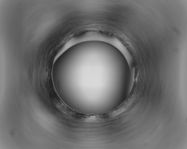 X0000113160382200909041300